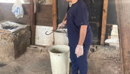 تديرها عمالة مخالفة.. أمانة الاحساء تضبط 6 مسالخ عشوائية