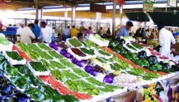 وثيقة العمل الحر إلزامية.. ضوابط الترخيص لمقدمي الخدمة بأسواق النفع العام