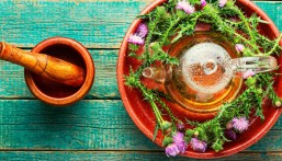 فوائد عشبة شوك الجمل عديدة وأبرزها علاج أمراض الكبد