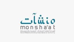 لمنع تسرب الدعم .. تحديد القواعد التنظيمية لقياس حجم المنشآت