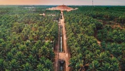 وزارة الزراعة متغنية : الأحساء واحةً خضراء ورافدًا للأمن الغذائي