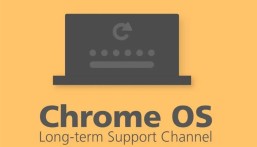 بمستوى “عالٍ جداً”.. “الأمن السيبراني” يحذر من ثغرة بتحديثات جوجل