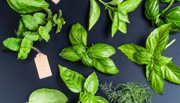 يخفف “التورم والالتهابات”.. 6 فوائد صحية لـ”الحبق”