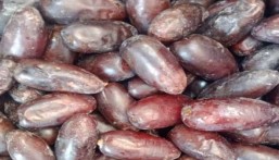 فوائد مذهلة للجسم بعد تناول 3 تمرات يوميًا