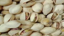 فوائد مذهلة لتناول الفستق يوميًا