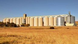 بـ (3.5) ملايين طن.. “البيئة” تنجح في بناء أكبر طاقة تخزينية متطورة للحبوب في الشرق الأوسط