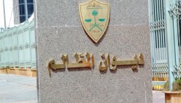 ديوان المظالم: 1.7 مليون مستفيد من خدمة الاستفسار عن حالة قضية