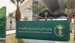 “الزراعة”: “الأعلاف المركبة” الحل لتغطية 50% من احتياجاتنا