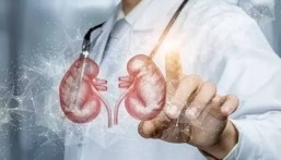 كيفية حماية الكلى من التدهور؟.. 3 عادات غذائية مهمة