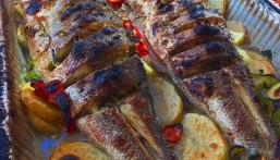 بالفيديو.. عريس يكسر الروتين ويفاجئ ضيوفه بسمك على العشاء بدلًا من الذبائح