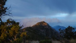 أجواء باردة رغم حرارة الصيف.. عسير والباحة تخطف الأنظار من مدن أوروبا الملتهبة