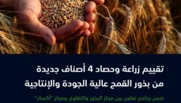 دراسة لتقييم زراعة 4 أصناف جديدة من بذور القمح عالية الجودة تتناسب مع مناخ المملكة
