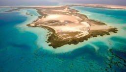 الهيئة السعودية للبحر الأحمر: سبع لوائح تنظيمية للأنشطة الملاحية في البحر الأحمر