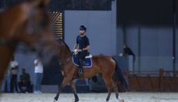 “اتحاد الفروسية” يستهل موسمه بإقامة بطولة اليوم الوطني لقفز الحواجز