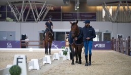 16 نوفمبر.. اتحاد الفروسية يقيم أول بطولة ترويض دولية بالسعودية