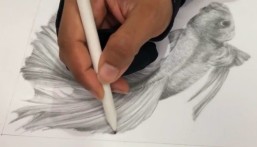 8 خيارات تميز التدريب الإلكتروني على الرسم