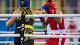 17 حكمًا ينالون الشارة الدولية في الملاكمة