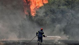 مصرع 112 شخصًا وفقدان المئات في حرائق تشيلي