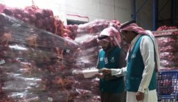 ضبط 8 أطنان بصل مخزنة في أحد المستودعات.. والتجارة تُلزم المنشأة بضخها في الأسواق