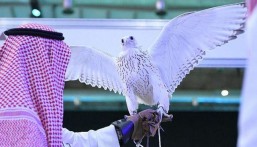 مهرجان الأحساء للصقور يخصص مركزًا لفحص المنشطات