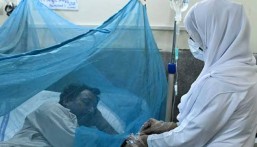 تفشي حمى الضنك في البرازيل والحكومة تتخذ إجراءات صحية طارئة