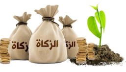 بدء وقت جواز إخراج “زكاة الفطر”بعد مغرب اليوم 28 رمضان