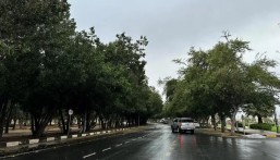 بدء موسم الغفر.. أول نسمات الشتاء تلوّح في الأفق