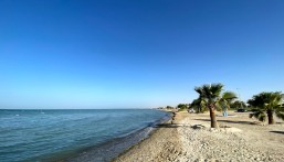 احجز تذكرتك.. تجربة شاطئية فريدة تجمع بين التأمل والاستجمام على شاطئ العقير