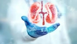 احمِ كليتيك قبل فوات الأوان.. روشتة الوقاية الذهبية من أمراض الكلى