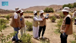 بالصور.. “الري” تدرب الطواقم على تطبيق “كود ممارسات الري” بالطائف