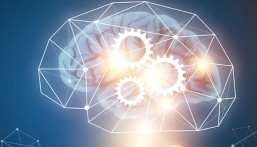 الصحة الذهنية للرياضيين النخبة.. العامل الخفي وراء البطولات