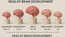 دراسة: مرحلة المراهقة قد تمتد حتى سن 32 عامًا