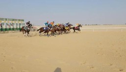 بالصور.. ميدان الفروسية بالأحساء يقيم سباقات الفروسية السادس