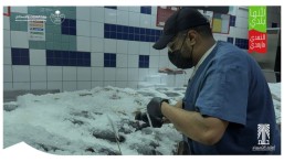 على مدار الساعة.. أمانةالأحساء‬⁩ ⁧‫تؤكد استمرار الرقابة وتطبيق الغرامات على المخالفين دون استثناء