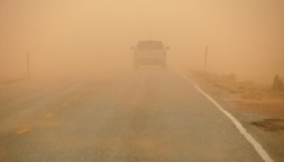 حتى 6 مساءً.. تنبيه من رياح نشطة على الأحساء وأجزاء من الشرقية