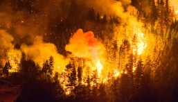 حرائق غابات خارجة عن السيطرة في الأرجنتين.. إجلاء 3000 سائح وتدمير منازل