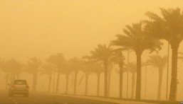 موجة باردة على الشرقية ونشاط للرياح مع الأتربة من السبت إلى الثلاثاء