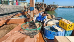 في 12 مرفأ صيد.. “بيئة الشرقية” تطلق حملة الامتثال لأنظمة الصيد البحري