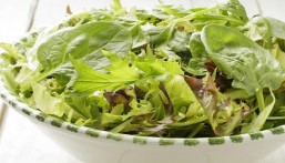 الأحساء تتصدر إنتاج الورقيات بـ19%… وفرة محلية تدعم أسواق رمضان في الشرقية