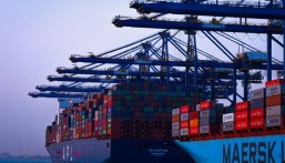 50 شركة و14 خدمة تموين تعزز مكانة موانئ الشرقية كمحور لوجستي رئيسي