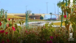 أمانة الأحساء تستحضر الإرث الزراعي في يوم مبادرة السعودية الخضراء