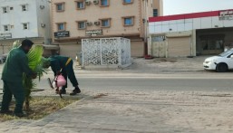 بلدية العيون تطلق المرحلة الثانية من مبادرة “زراعة الشجر”