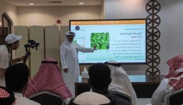 الزراعة بدون تربة في الشرقية.. مستقبل الاكتفاء الذاتي يبدأ من المنزل