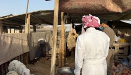 ضبط 4 أحواش عشوائية للذبح خلال عيد الأضحى بالأحساء