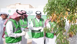 «الحديقة المدرسية المستدامة».. مبادرة لتعزيز الاستدامة داخل مدارس الأحساء