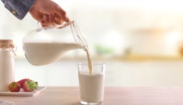 الحليب وحده لا يكفي.. الحقيقة الكاملة لحماية العظام التي يغفلها كثيرون