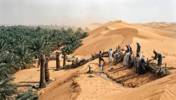 كيف نجحت الأحساء في تجاوز أكبر مؤامرة لدفن تاريخها تحت الرمال؟