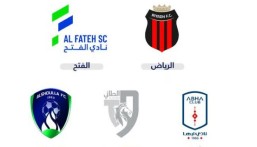 عاجل| من بينهم الفتح.. وزارة الرياضة تعلن طرح 5 أندية ضمن مشروع التخصيص