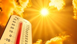 حرّ الأحساء بين القيظ وسهيل.. رحلة الصيف من اللهيب إلى الاعتدال
