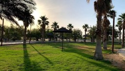 منتزه الملك عبدالله البيئي بالأحساء يفتح أبوابه للزوار على مدار الساعة 